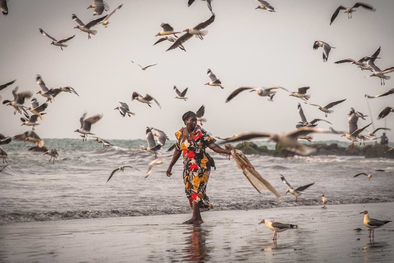 Fishing In The Gambia - Tanji Coast